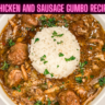 Chicken and Sausage Gumbo Recipe Steps, Ingredients and Nutrition