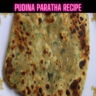 Pudina Paratha Recipe Steps, Ingredients and Nutrition